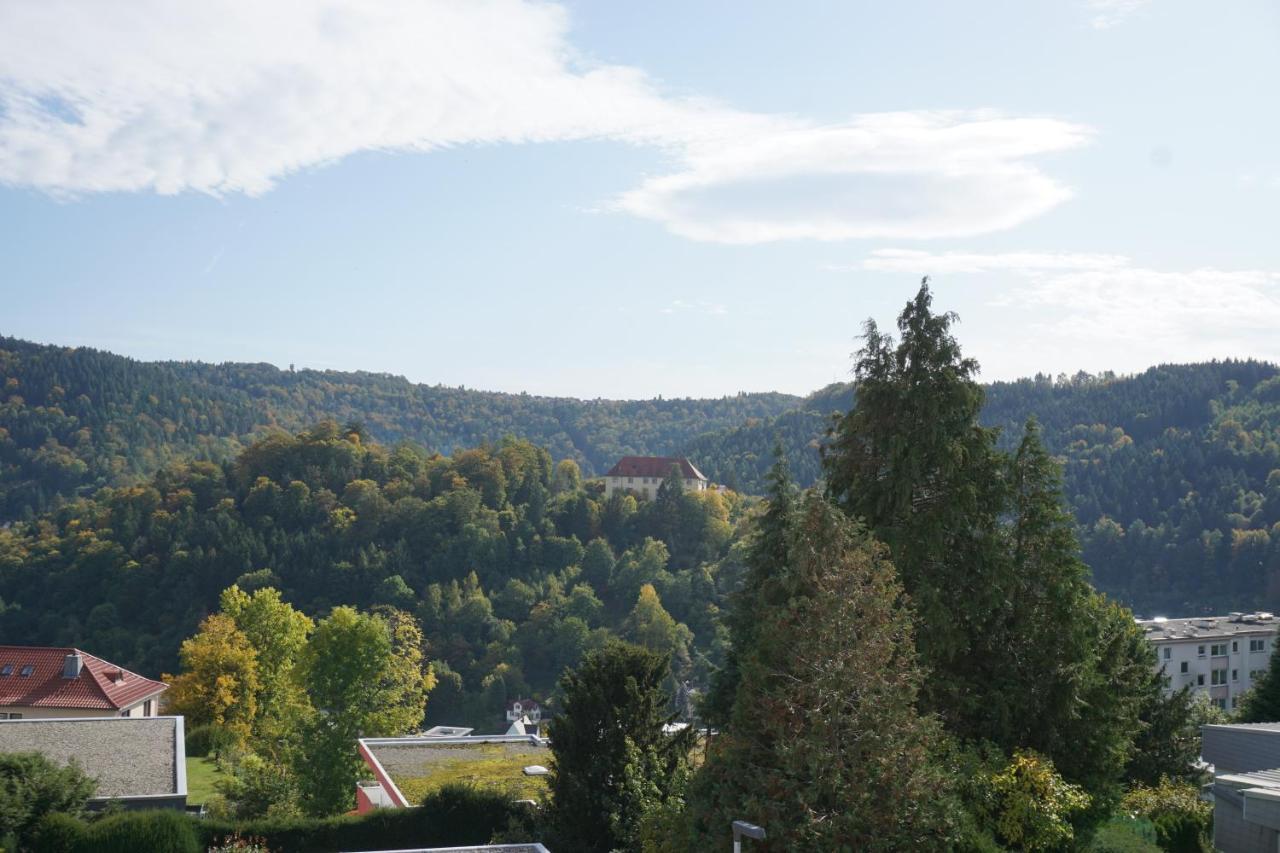 Ferienwohnung Schauinsland Neuenburg  Luaran gambar